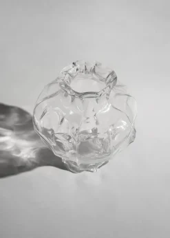 Hein Studio Ammonit Large Clear New