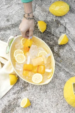 Byon Bowl With Lid Lemon