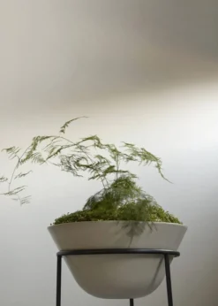 Audo Copenhagen Daiza Planter Ivory - Ø35 Outlet