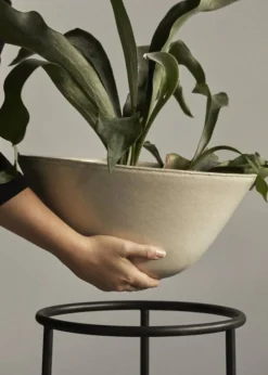 Audo Copenhagen Daiza Planter Ivory - Ø35 Outlet