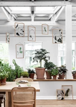 MOEBE Floating Leaves - A3 03 - Stock sale Hot