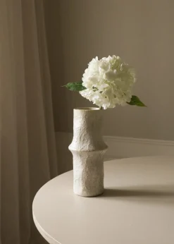 Botané Flower stems