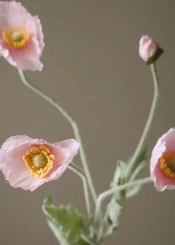 Botané Flower stems