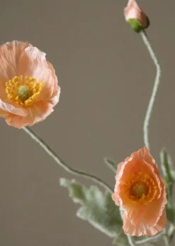 Botané Flower stems