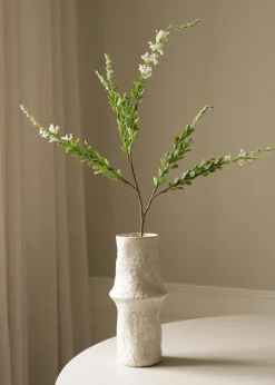 Botané Flower stems