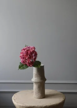 Botané Flower stems