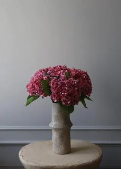 Botané Flower stems