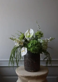 Botané Flower stems