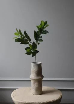 Botané Flower stems