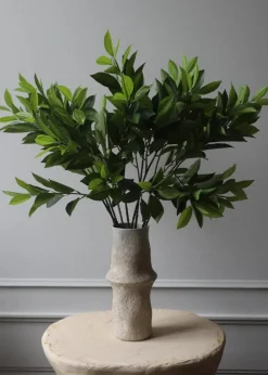 Botané Flower stems