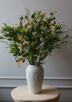 Botané Flower stems