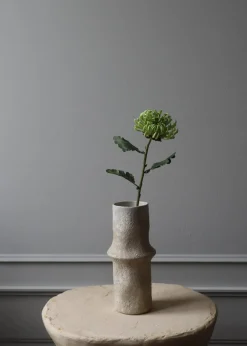 Botané Flower stems