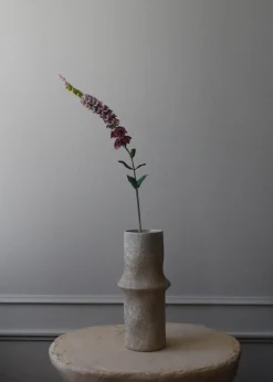 Botané Flower stems