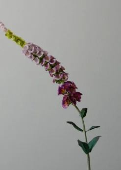 Botané Flower stems