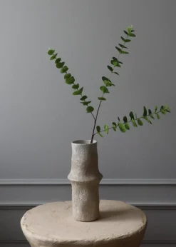 Botané Flower stems Eucalyptus Three Leaves Sale