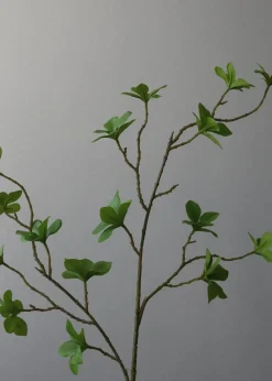 Botané Flower stems Enkianthus Perulatus Leaves Online