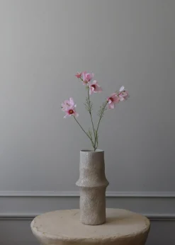 Botané Flower stems Large Cosmo Daisy pink Best