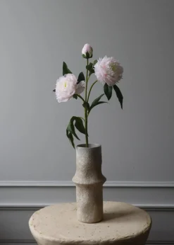 Botané Flower stems Peony pink Discount