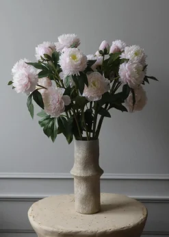 Botané Flower stems Peony pink Discount