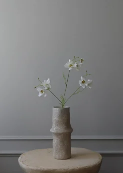 Botané Flower stems Large Cosmo Daisy white Outlet