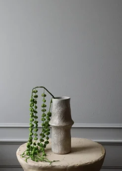 Botané Flower stems Coral Fountain Amaranthus green Outlet