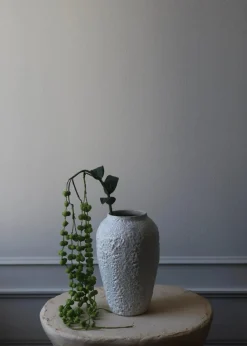 Botané Flower stems Coral Fountain Amaranthus green Outlet