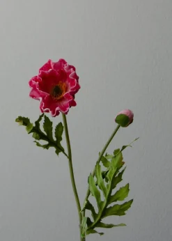 Botané Flower stems Large poppy pink Discount