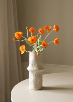 Botané Flower stems Orange Poppy Flower Hot