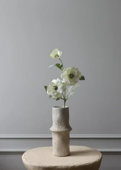 Botané Flower stems Anemone white Fashion