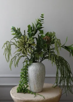 Botané Flower stems Skimmia Berry Branch green Hot