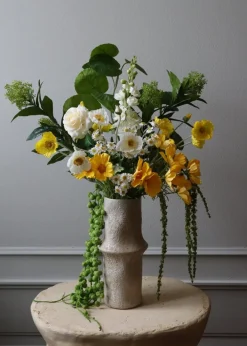 Botané Flower stems Skimmia Berry Branch green Hot