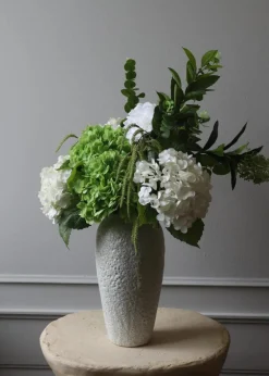 Botané Flower stems Skimmia Berry Branch green Hot