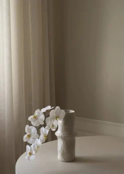 Botané Flower stems White Large Orchid Fashion