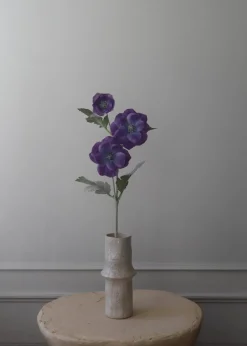 Botané Flower stems Anemone purple Sale