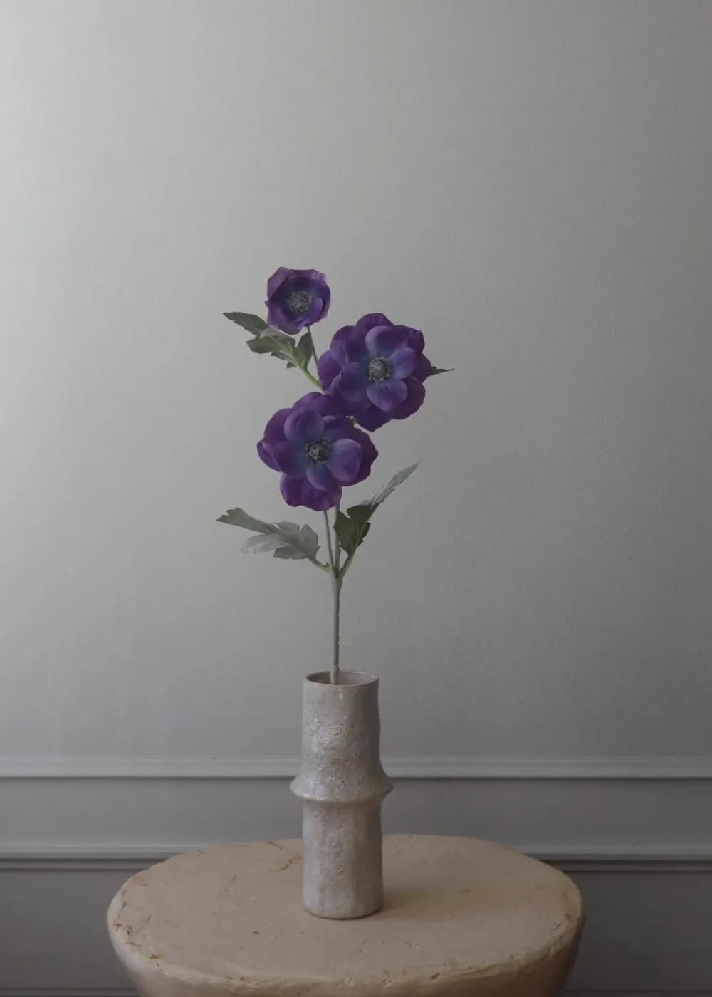 Botané Flower stems Anemone purple Sale