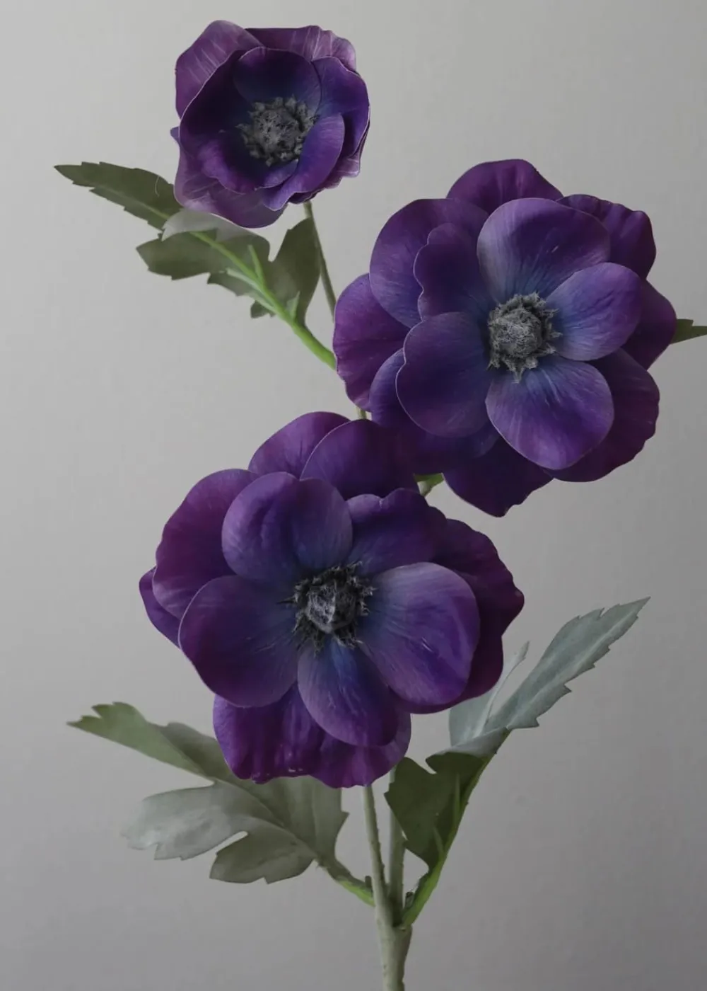 Botané Flower stems Anemone purple Sale