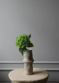 Botané Flower stems Hydrangea green Hot