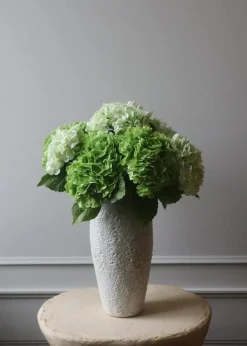 Botané Flower stems Hydrangea green Hot