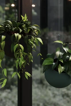 AYTM Globe Hangning Flowerpot Forest Small Sale