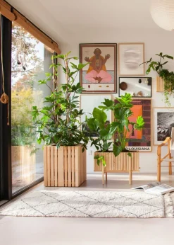 SQUARELY CPH GrowBIG