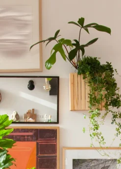 SQUARELY CPH GrowON Wall