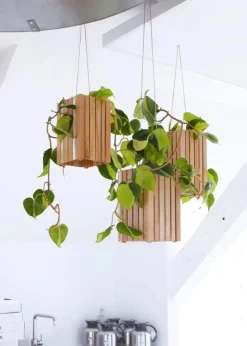 SQUARELY CPH GrowSMALL