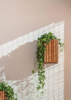 SQUARELY CPH GrowSMALL Wall Dark Oak Best