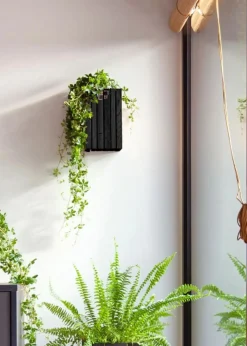 SQUARELY CPH GrowSMALL Wall Black Ash Sale