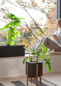 SQUARELY CPH GrowWIDE