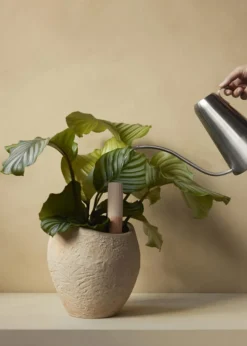 Audo Copenhagen Hydrous Watering Stick, Set of two Ashen - Small Clearance