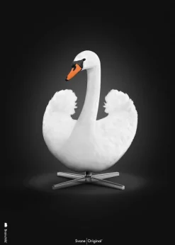 Brainchild Klassisk – Sort baggrund – Hvid svane Fashion
