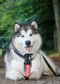 B&B Organic Petguard