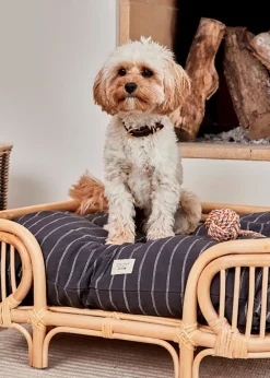 OYOY ZOO Otto Dog Bed Medium Best