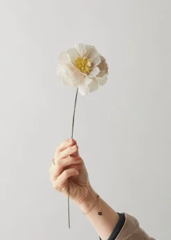 Studio About Paper Flower, Peony Yellow Sale